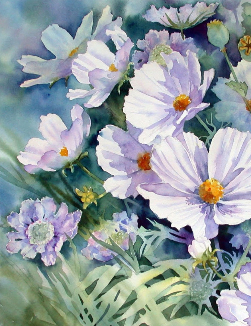 Ann Mortimer清新透亮的水彩花卉