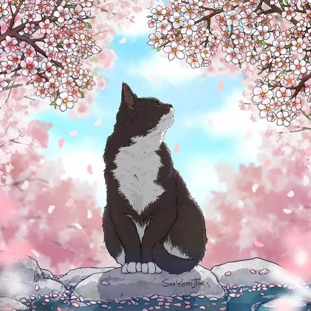 韩国插画师sooyeonjae描绘的猫咪生活场景插画