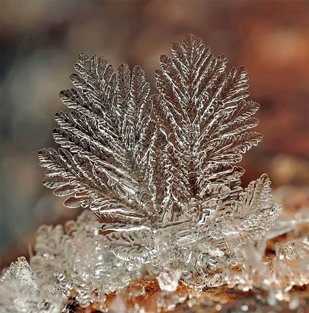 Andrew Osokin微距摄影：精美的雪花