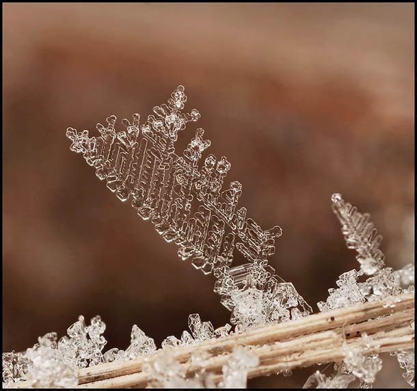 Andrew Osokin微距摄影：精美的雪花