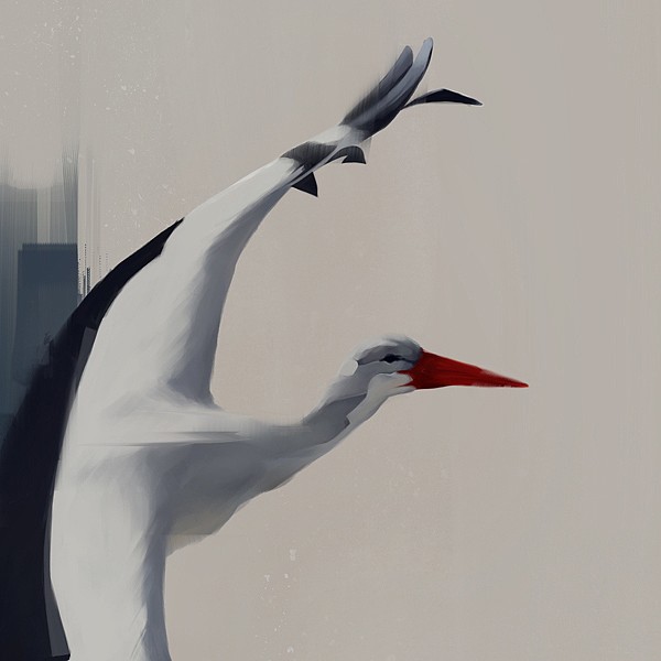 Denis Gonchar插画欣赏：鸟和家禽