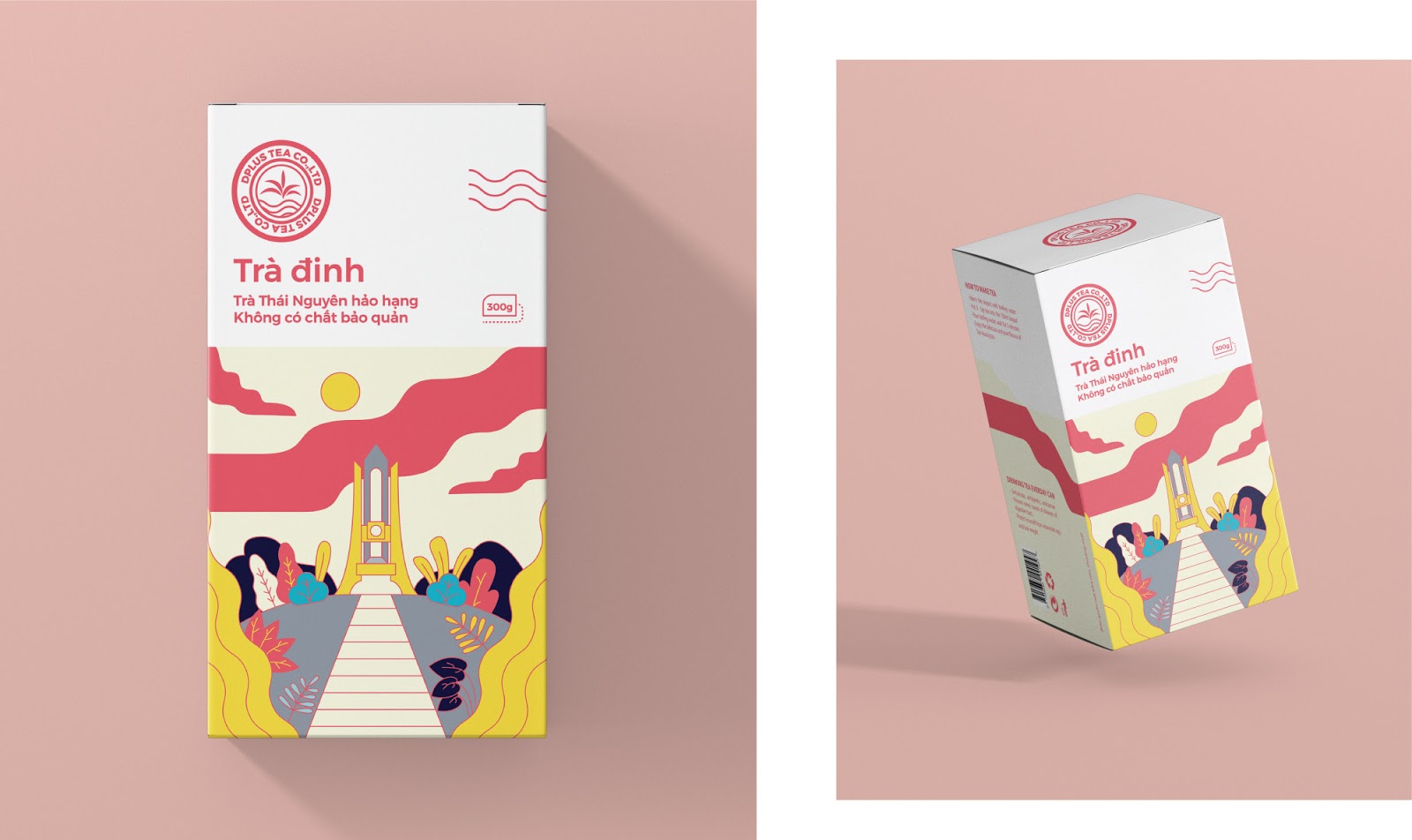 Tra Dinh茶包装设计