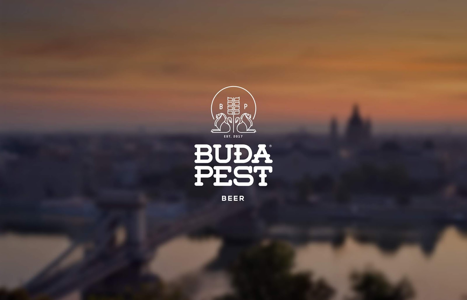 Budapest啤酒包装设计