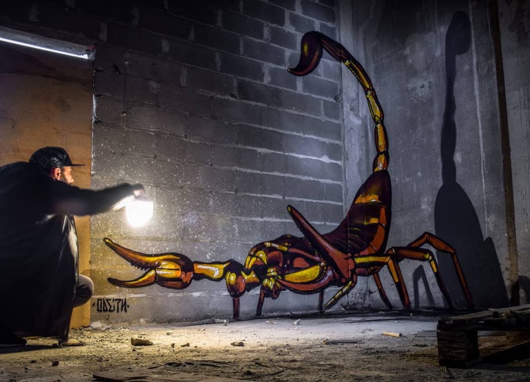 葡萄牙街头艺术家Odeith的立体昆虫涂鸦
