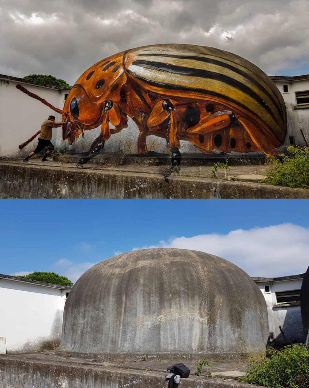 葡萄牙街头艺术家Odeith的立体昆虫涂鸦