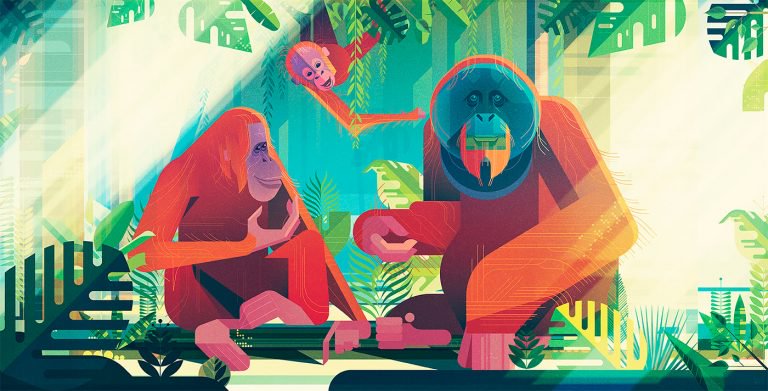 James Gilleard：“拯救物种”图书动物插图设计
