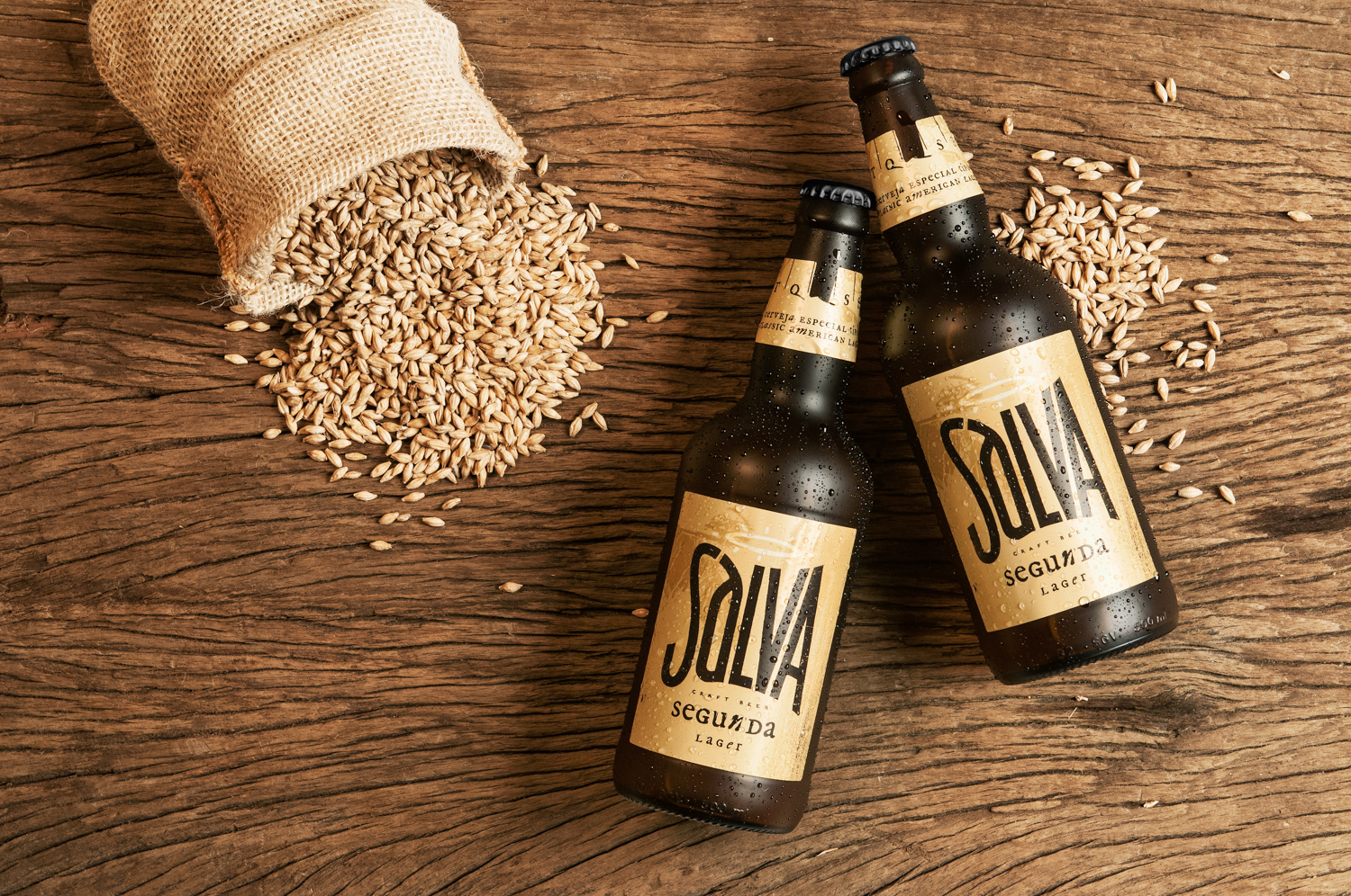 Salva啤酒品牌视觉设计