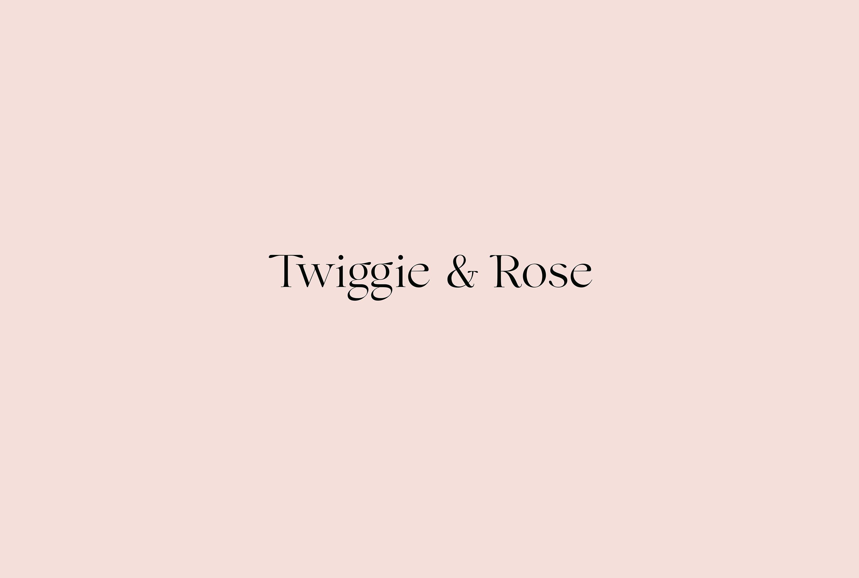 Twiggie & Rose化妆品包装设计