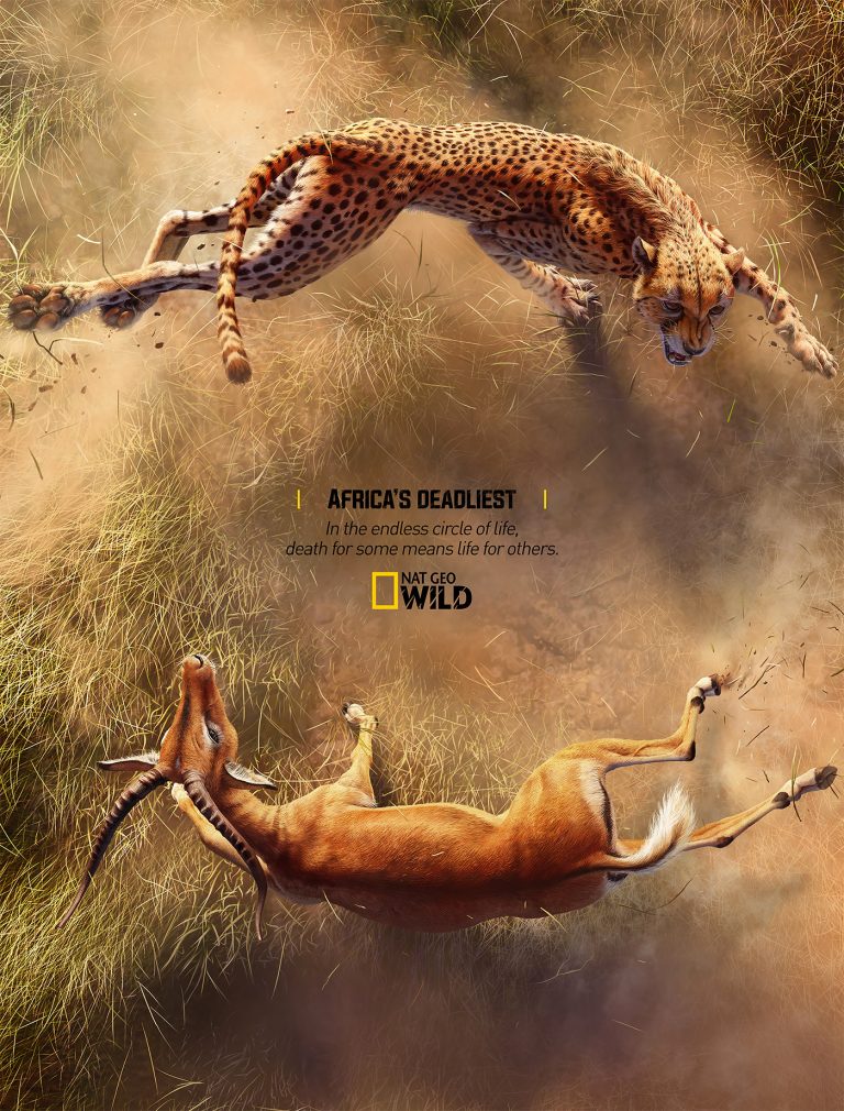 致命战役：动物纪录片海报设计