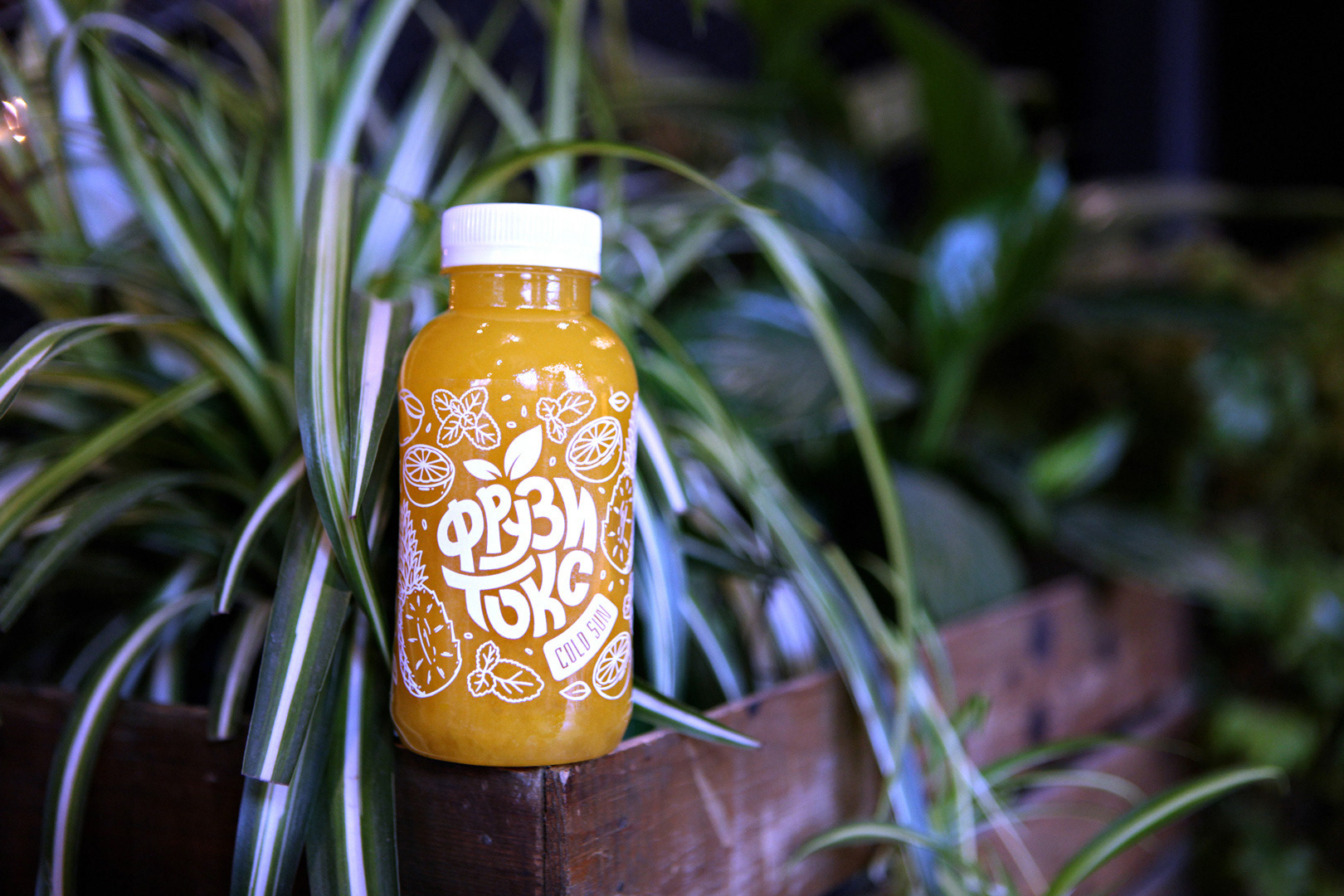 Smoothie Fruzitox果汁品牌和包装设计