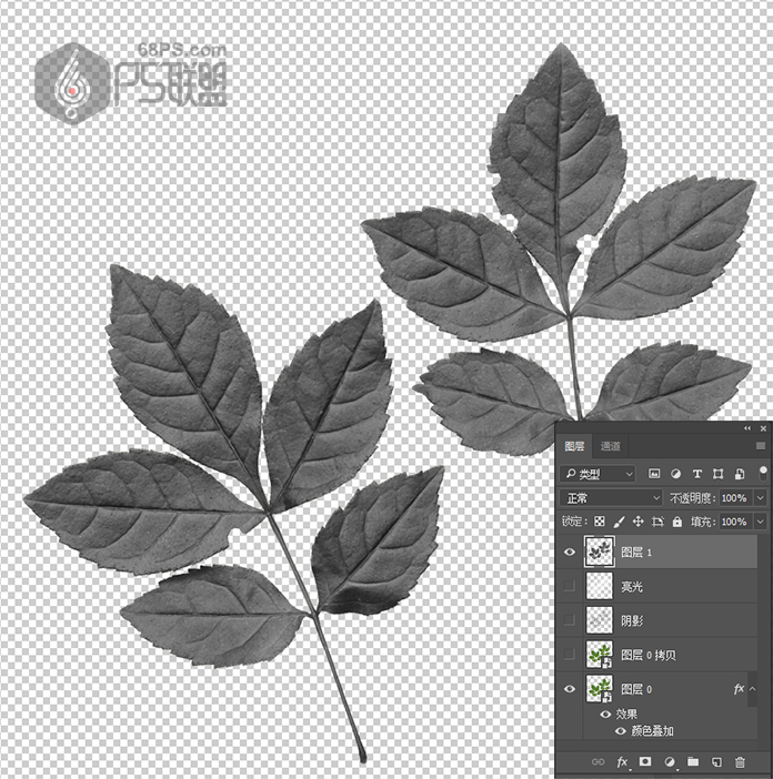 Photoshhop制作鲜花装饰艺术字效果