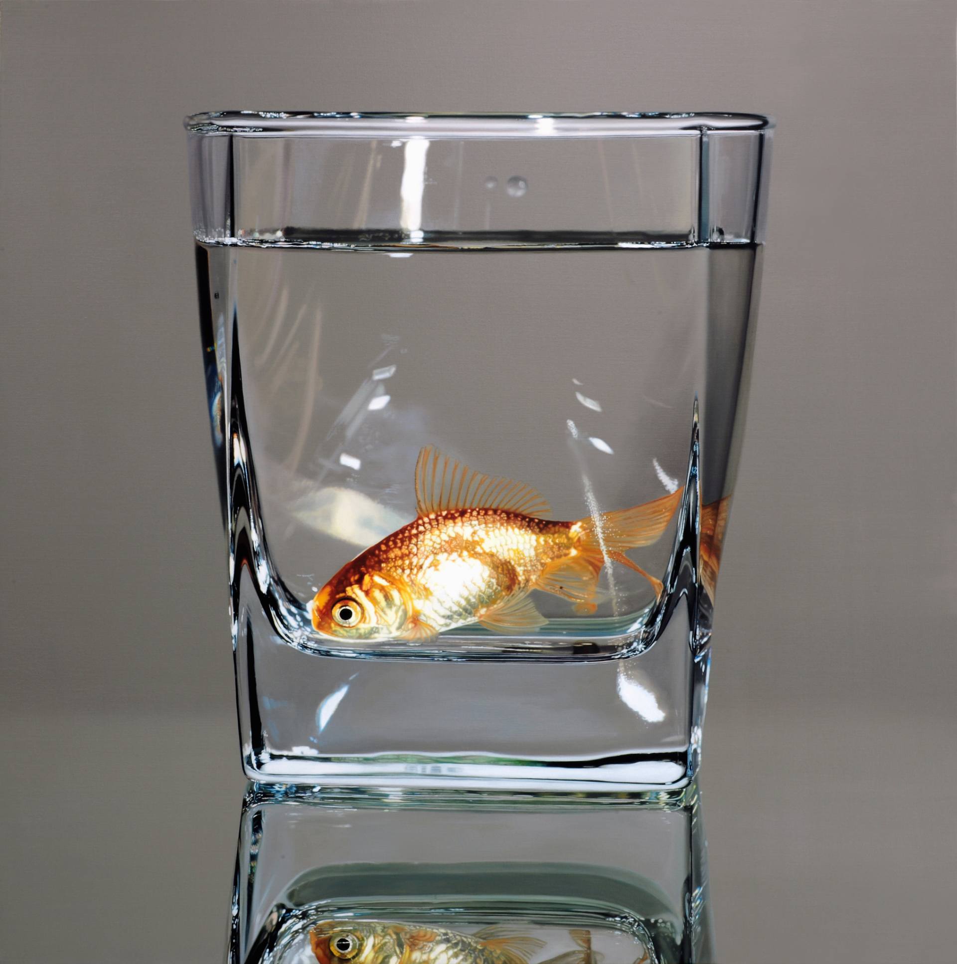 杯中的鱼：Young Sung Kim逼真的超写实风格绘画作品
