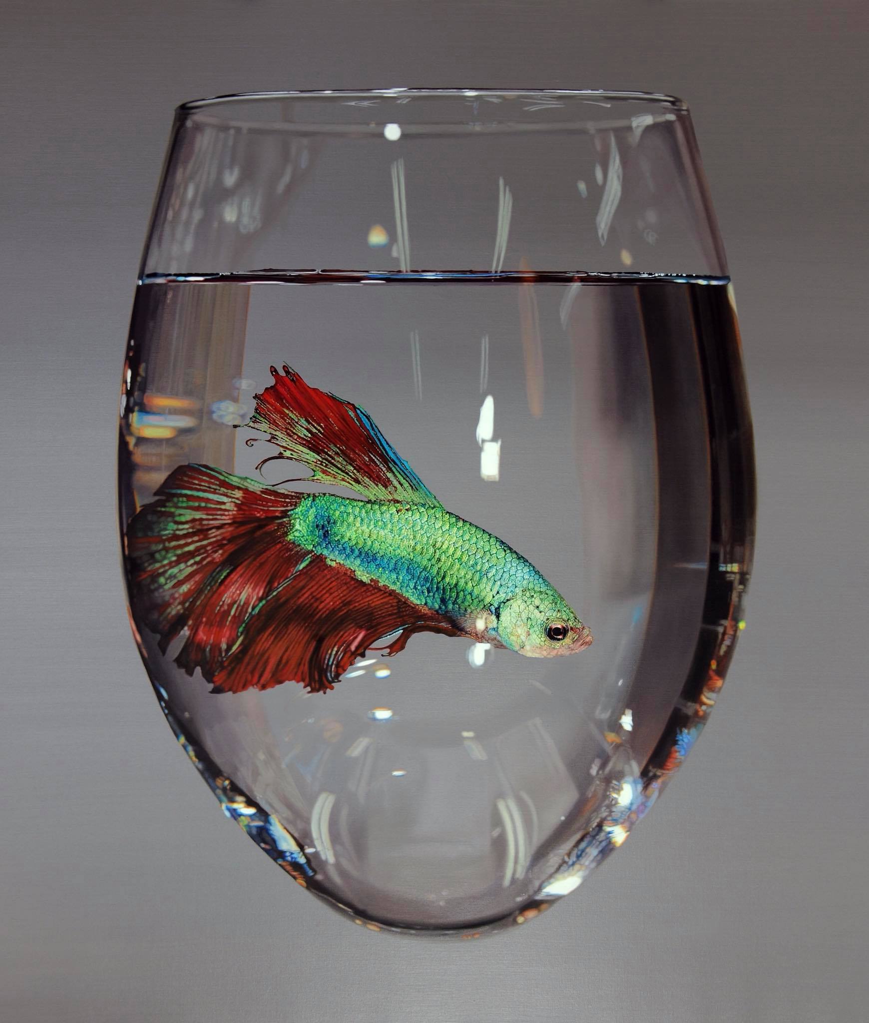 杯中的鱼：Young Sung Kim逼真的超写实风格绘画作品