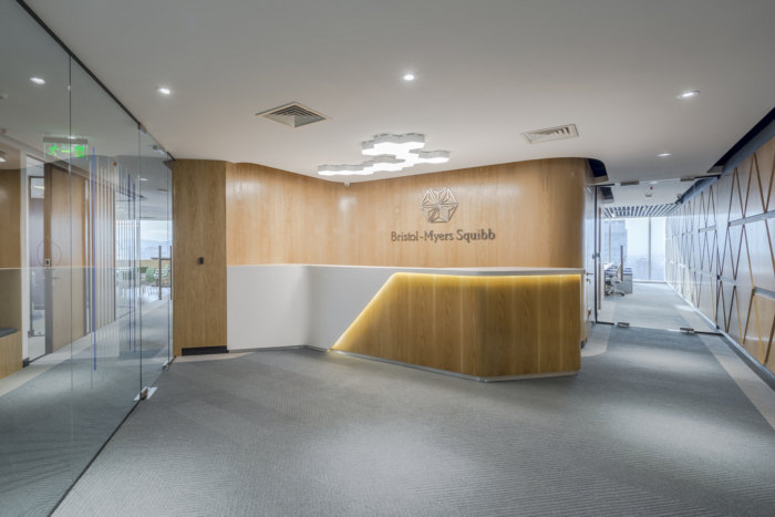 智利制药公司Bristol-Myers Squibb办公室空间设计