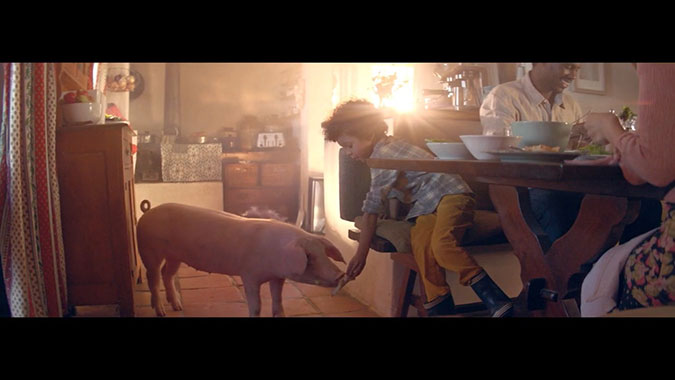 宠物猪: 亚马逊智能音响Alexa广告欣赏