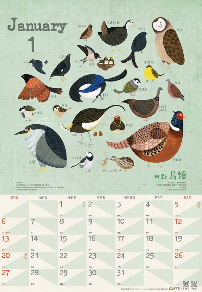 2019台湾林务局动物插画年历设计