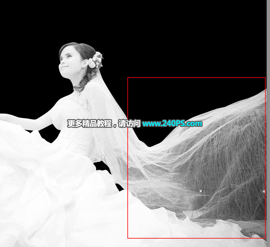 PS复杂背景下的透明婚纱抠图教程