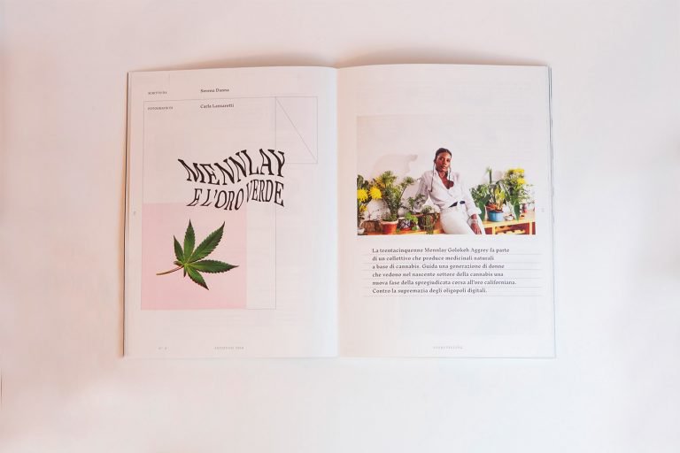 植物杂志Herbaria版面和排版设计
