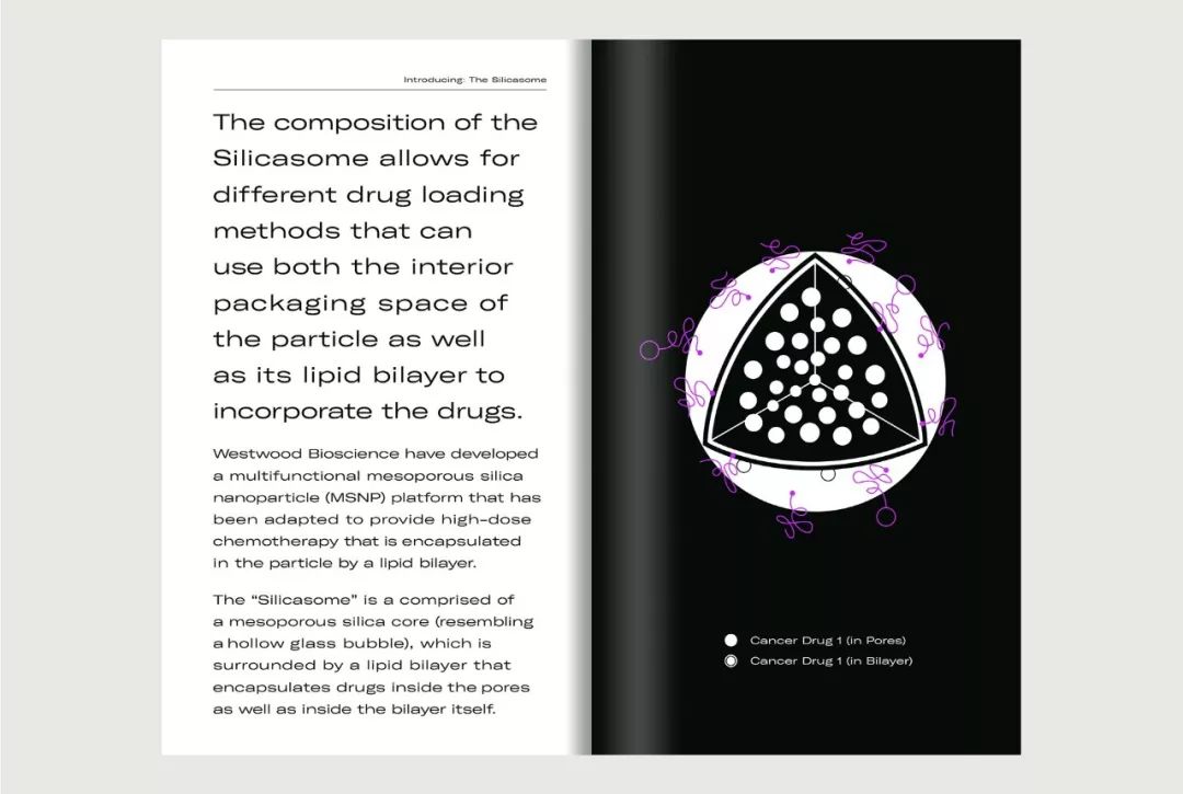 生物科技公司Westwood Bioscience视觉识别设计