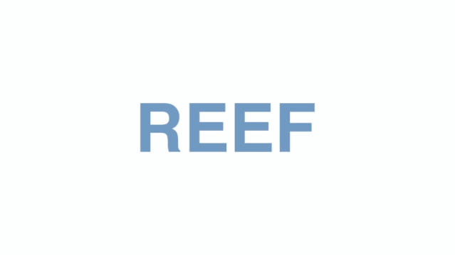 独特造型的Reef吹风机