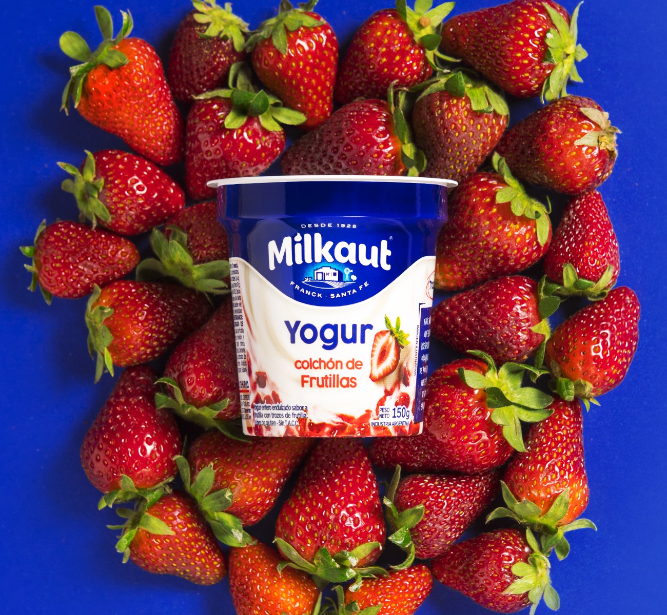 Milkaut酸奶包装设计