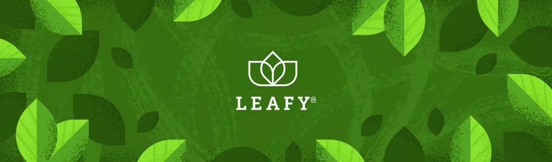 南非Leafy茶叶包装设计