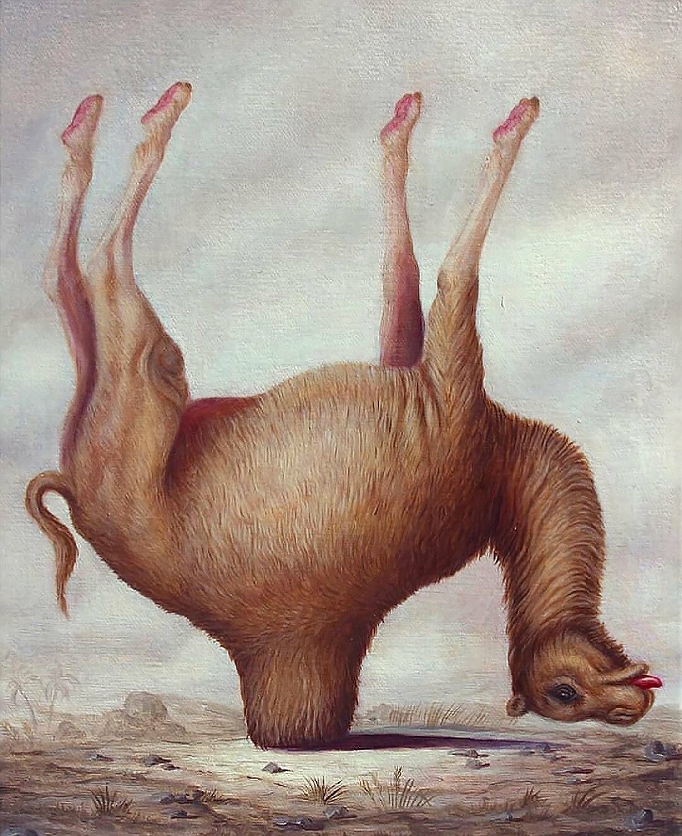 法国超现实主义艺术家Bruno Pontiroli创作的奇异动物插画