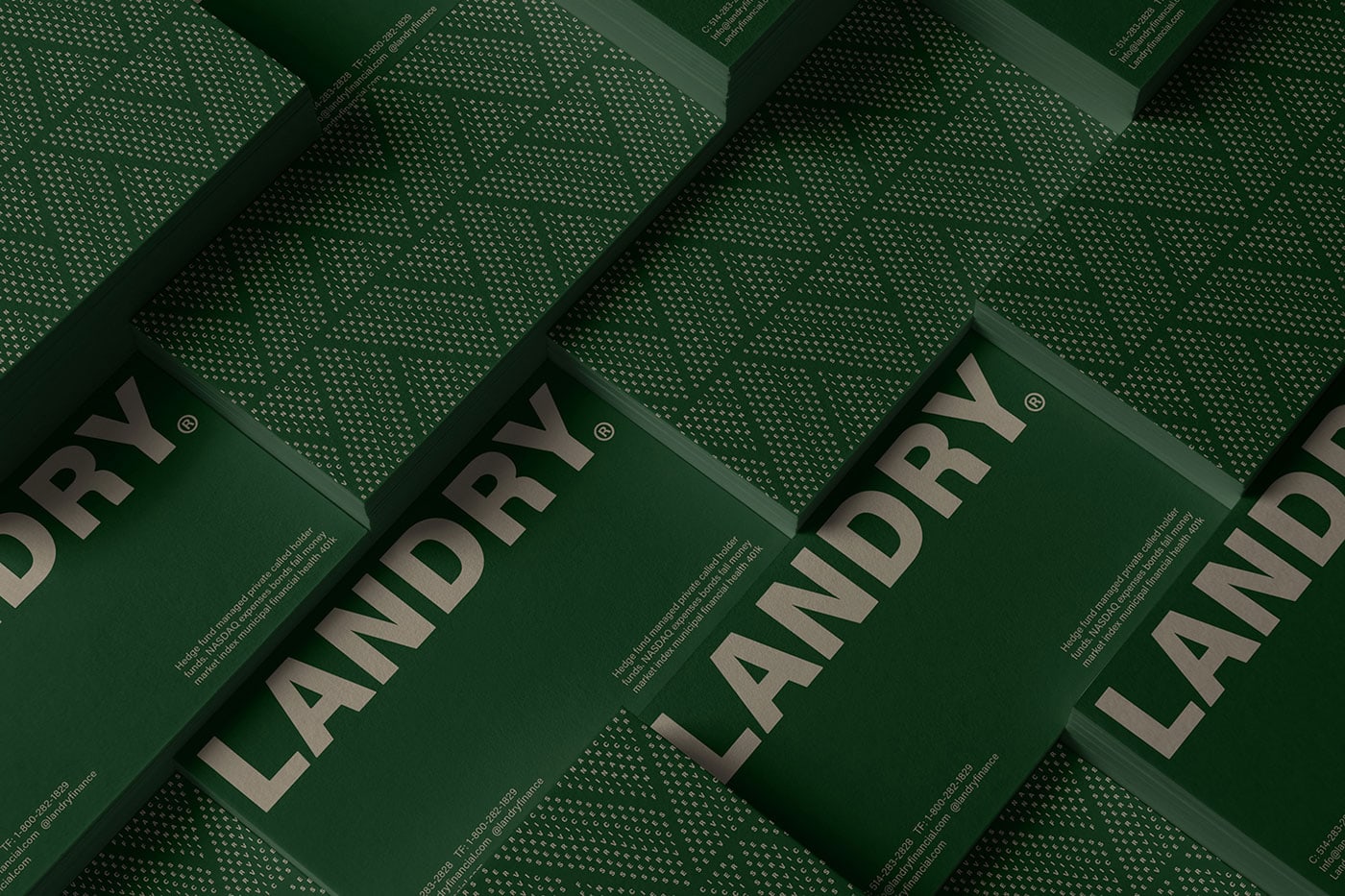 财务管理公司Landry品牌VI设计