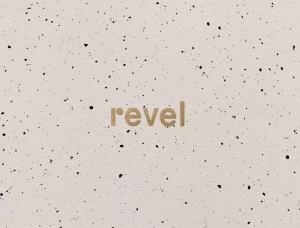 精致而低调的美学效果：多元化活动公司Revel品牌形象设计