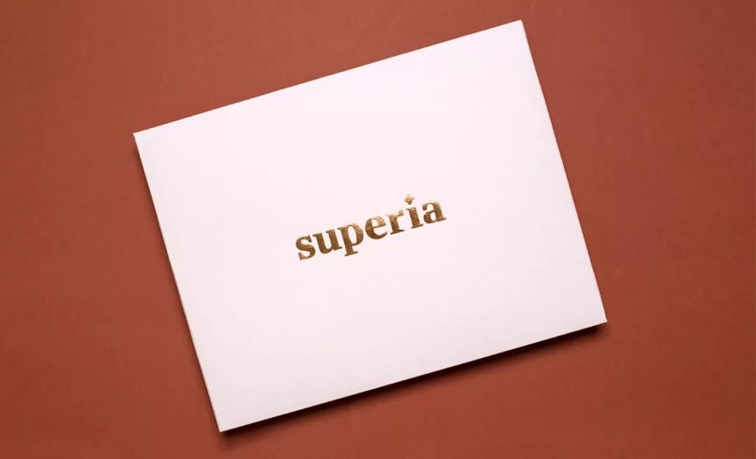 金融服务公司Superia品牌视觉设计