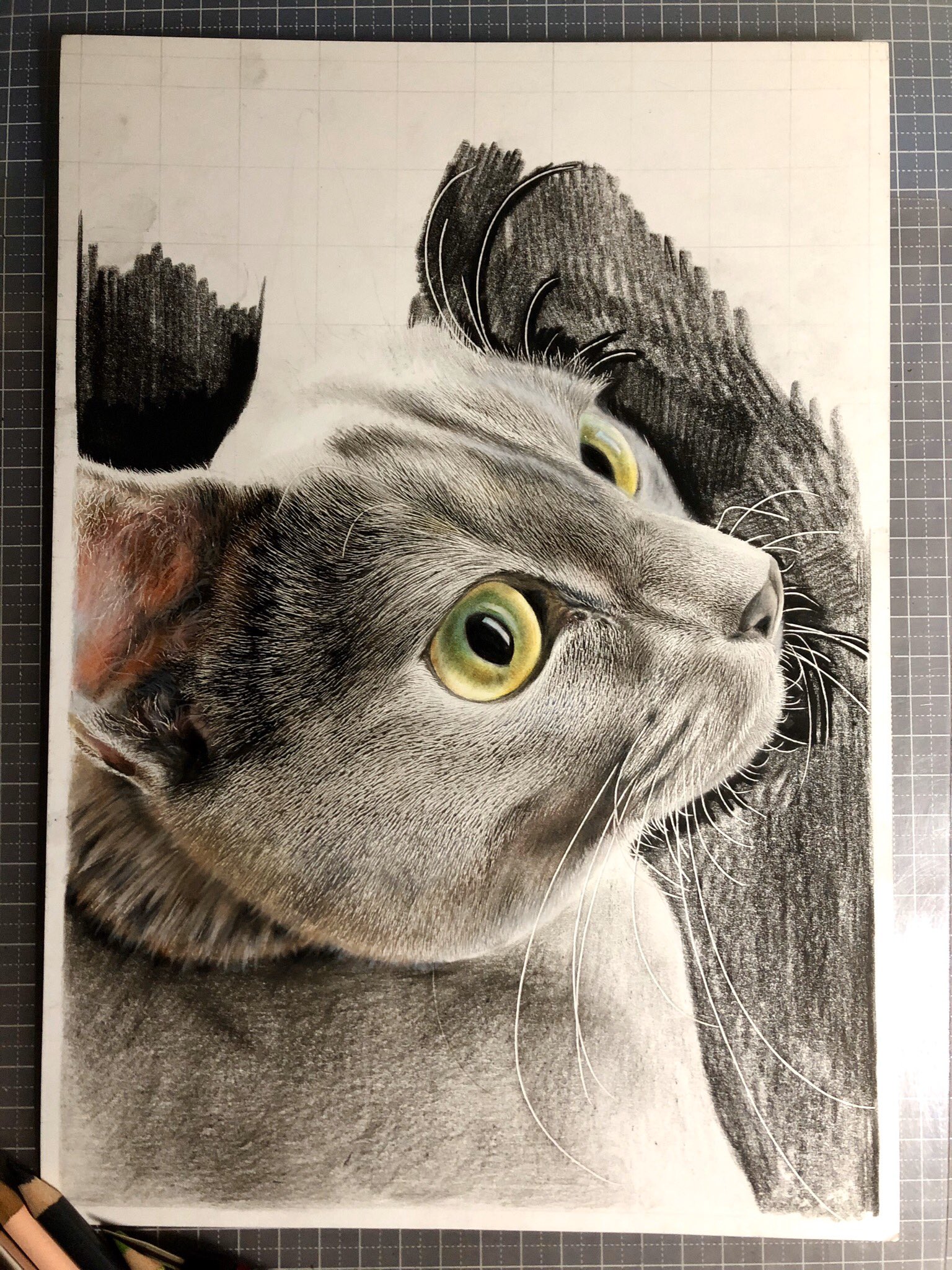 Yuki Kudo逼真的超写实猫咪绘画作品