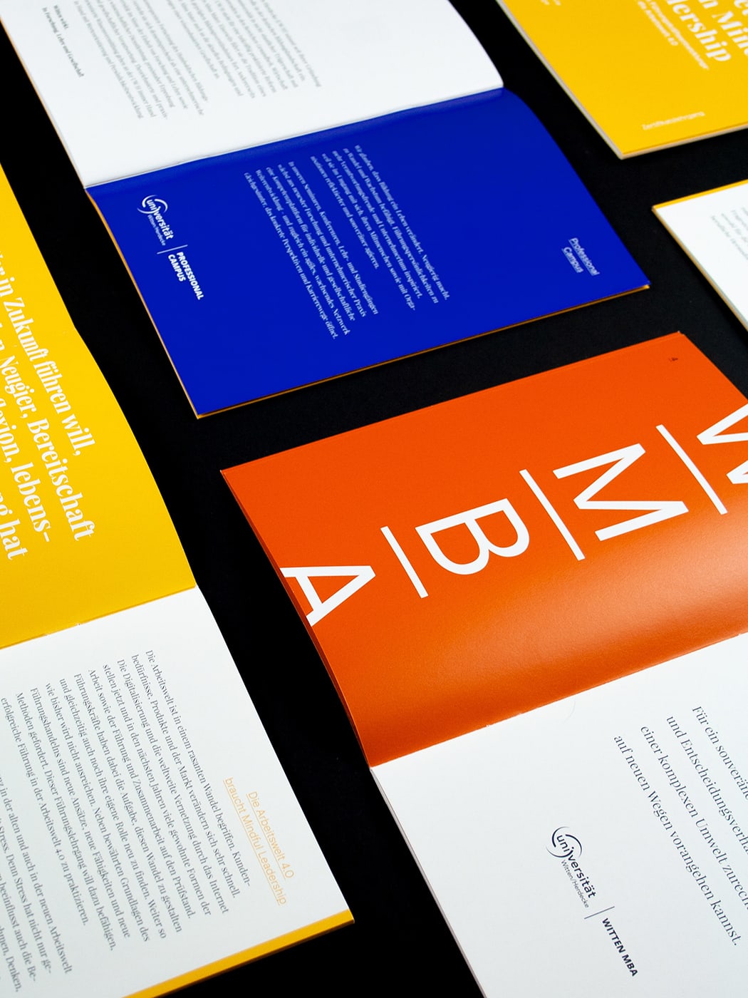 强烈的色彩，简约的排版！德国Witten/Herdecke大学宣传册设计