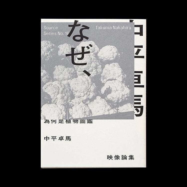 书籍装帧设计大师王志弘作品精选集