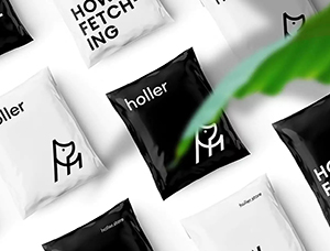 Holler宠物狗服饰品牌视觉形象设计