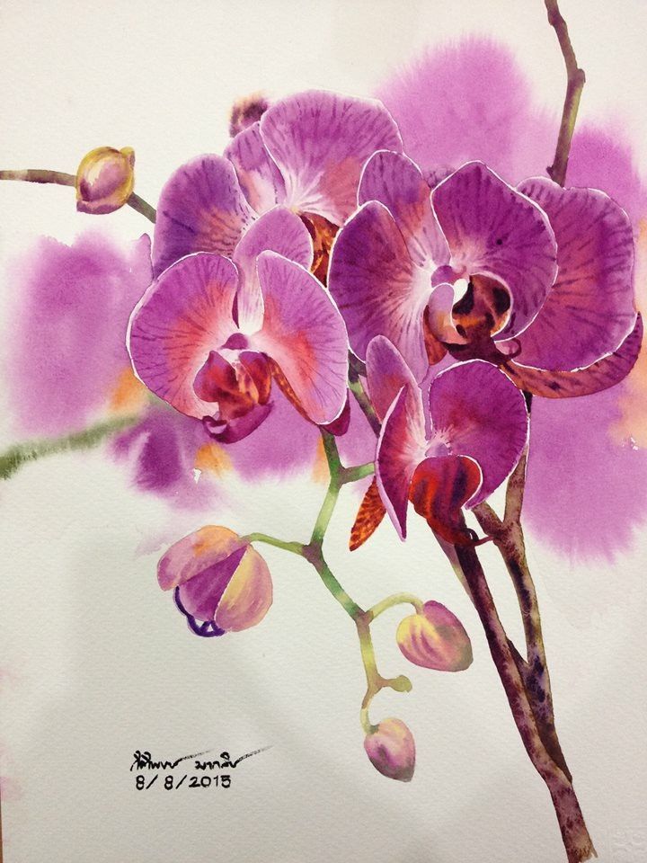 色彩清丽，画面清新！泰国画家Kitipong Ti水彩花卉作品