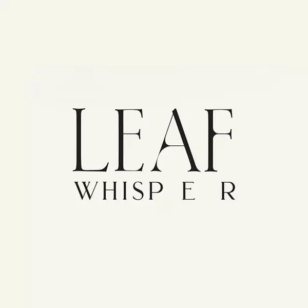 Leaf Whisper清凉饮料包装设计
