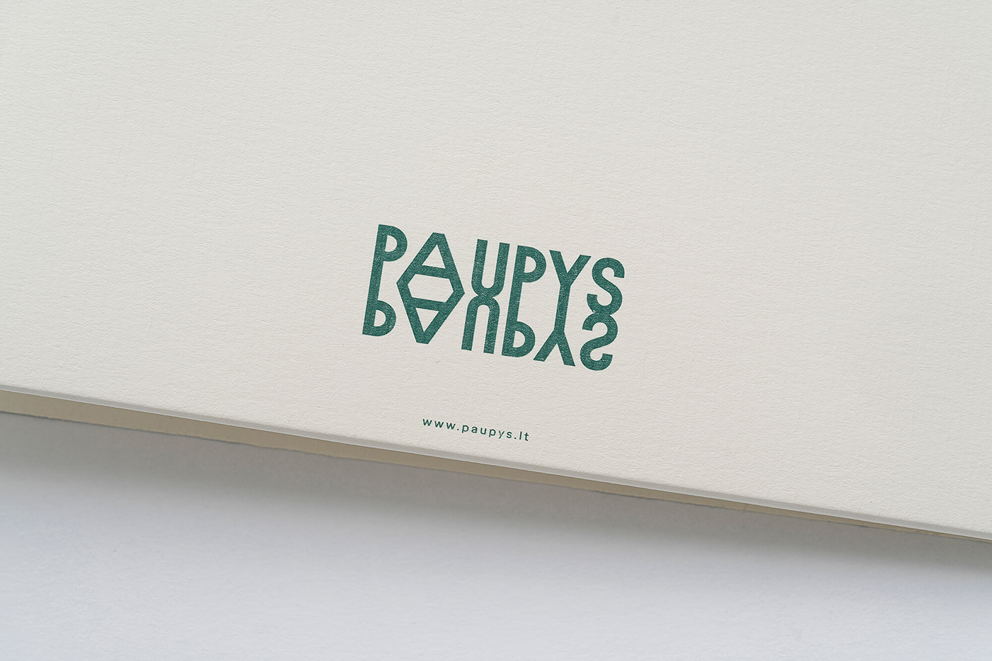 立陶宛Paupys新区宣传画册设计