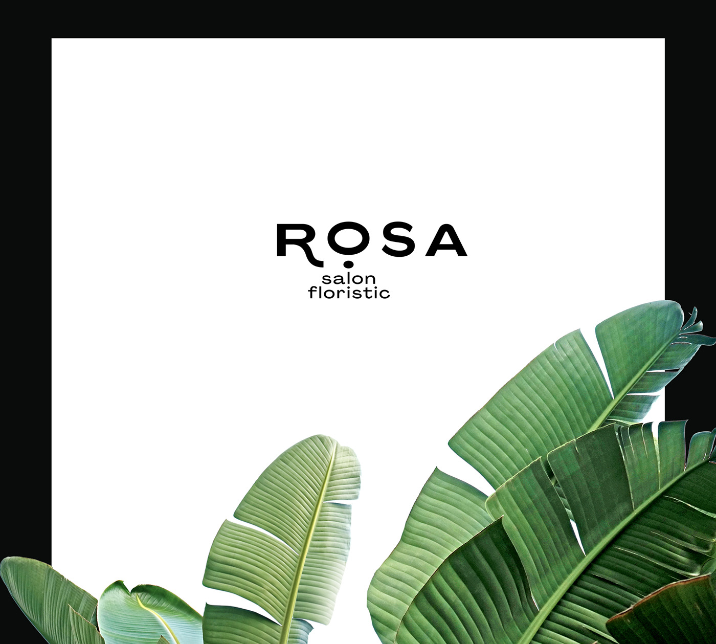 ROSA花店品牌视觉设计