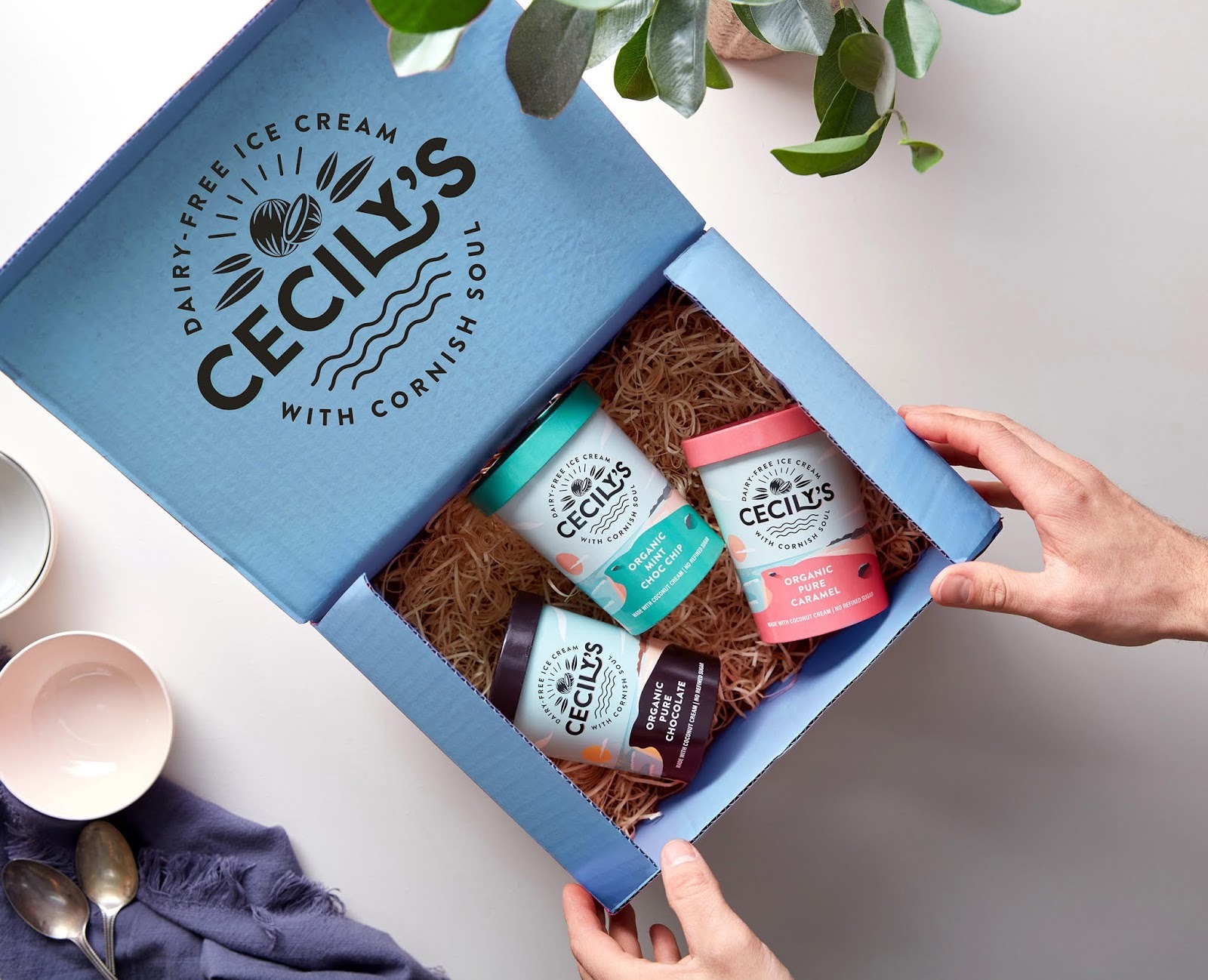 Cecily's冰淇淋品牌包装设计