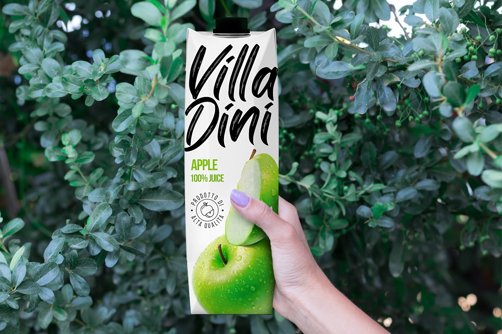Villa Dini果汁包装设计