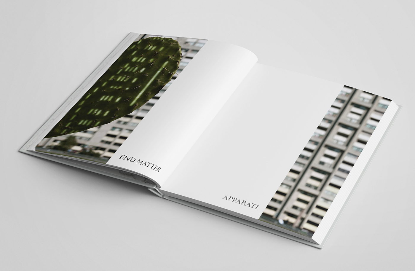 Anri Sala展览画册设计