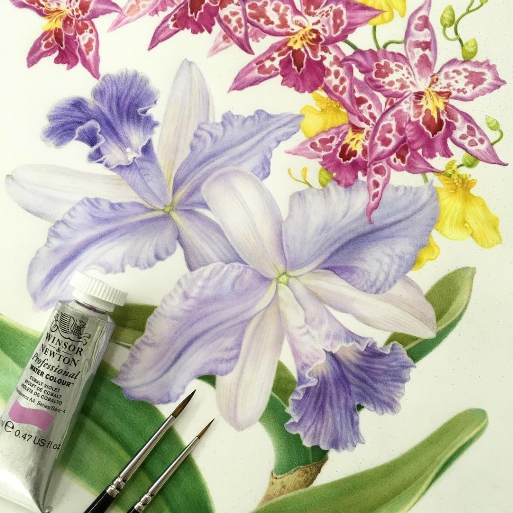 Karen Kluglein细腻逼真的水彩花卉作品