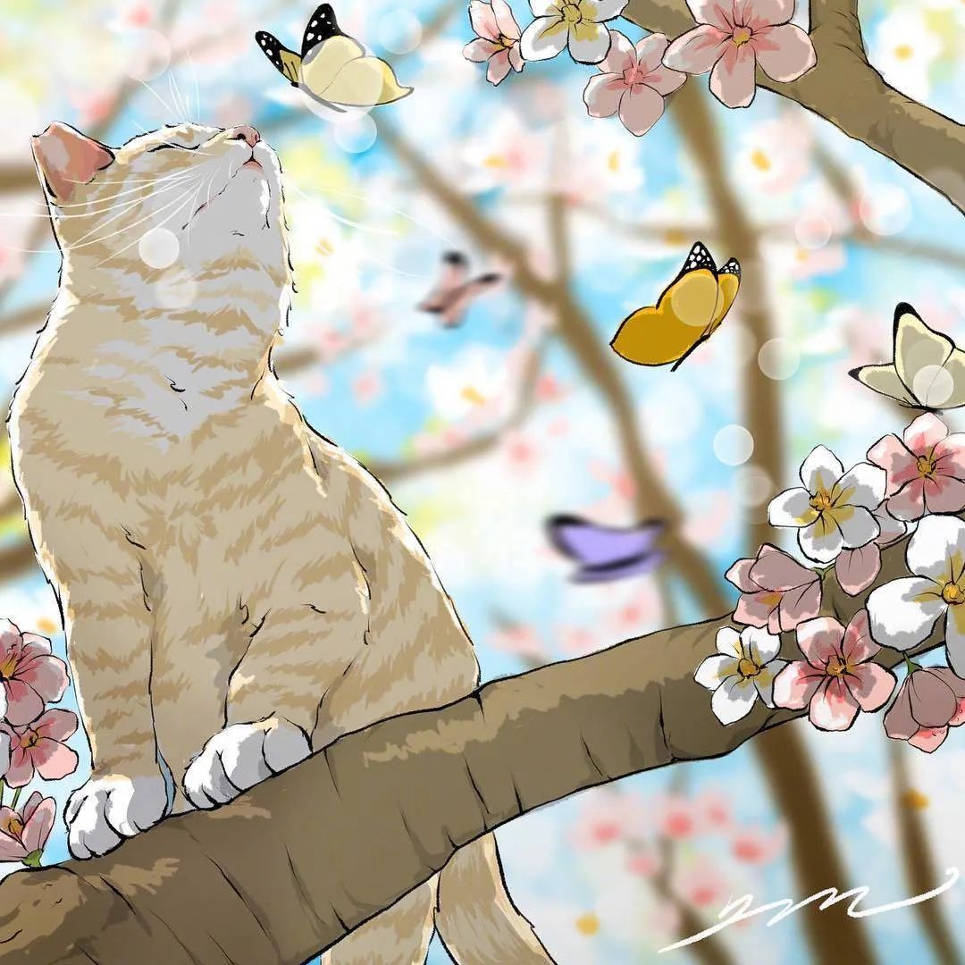 韩国插画师sooyeonjae描绘的猫咪生活场景插画