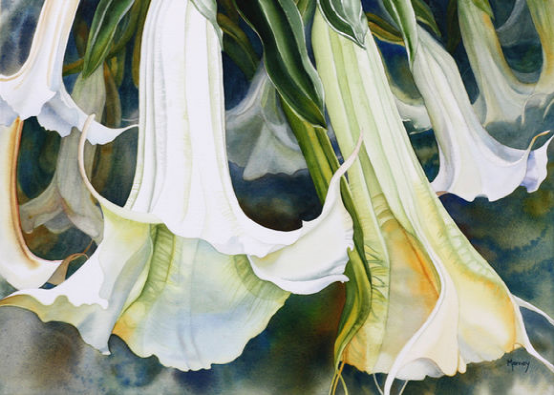 加拿大画师Marney Ward超漂亮的水彩花卉作品