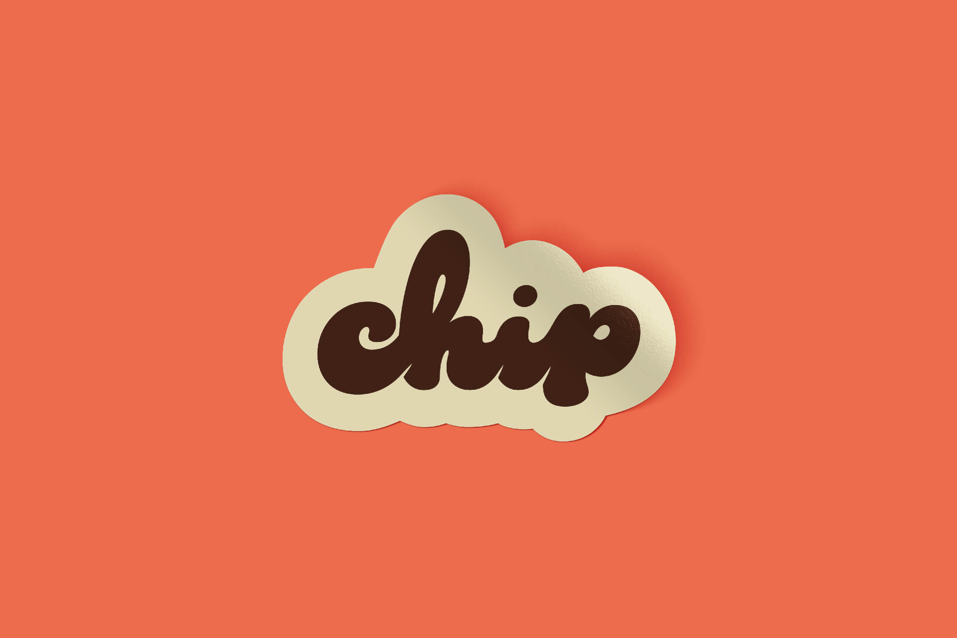 Chip NYC曲奇店品牌视觉设计