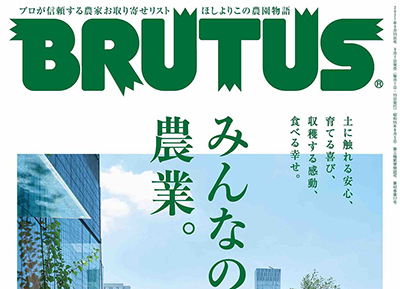 BRUTUS杂志封面设计欣赏