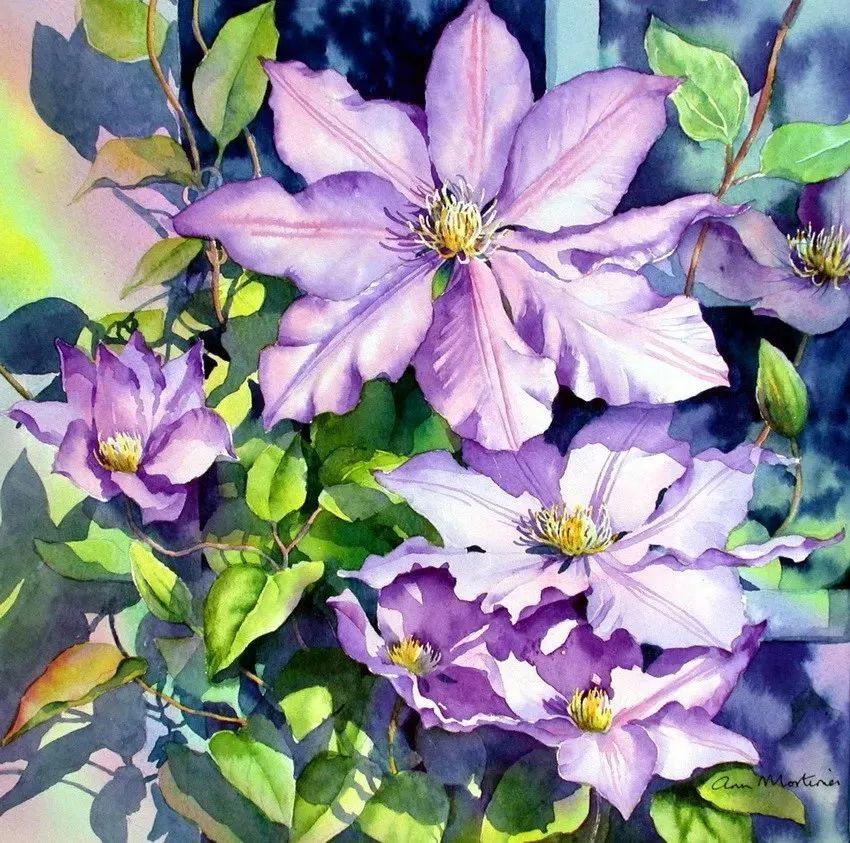 英国艺术家Ann Mortimer水彩花卉作品