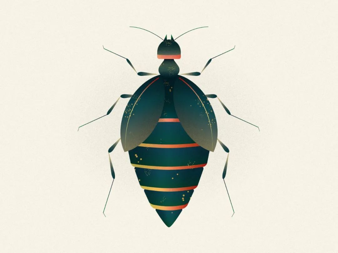 Léo Alexandre科幻感的昆虫插画