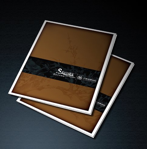 样本画册设计欣赏(1)