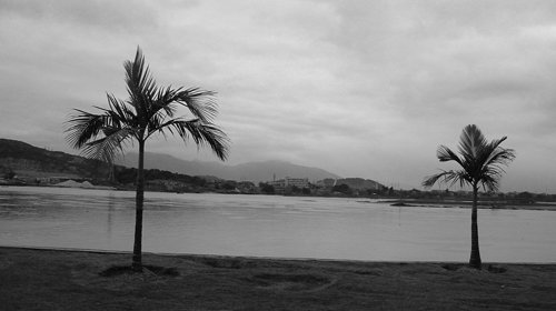 photoshop之曲线初识